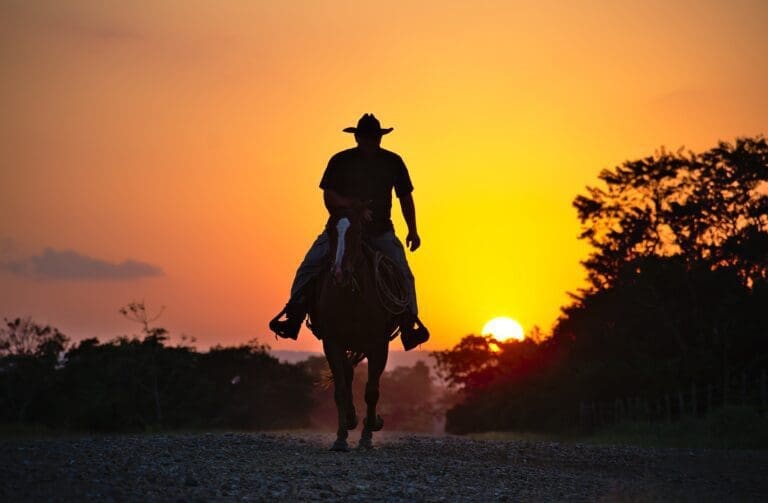 Silhouette of cowboy on horse